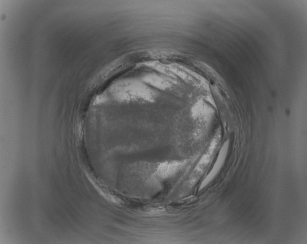 X0000081410405200702092114