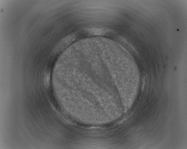 X0000081410406200702092114