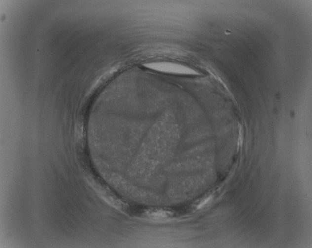 X0000081410407200702092114