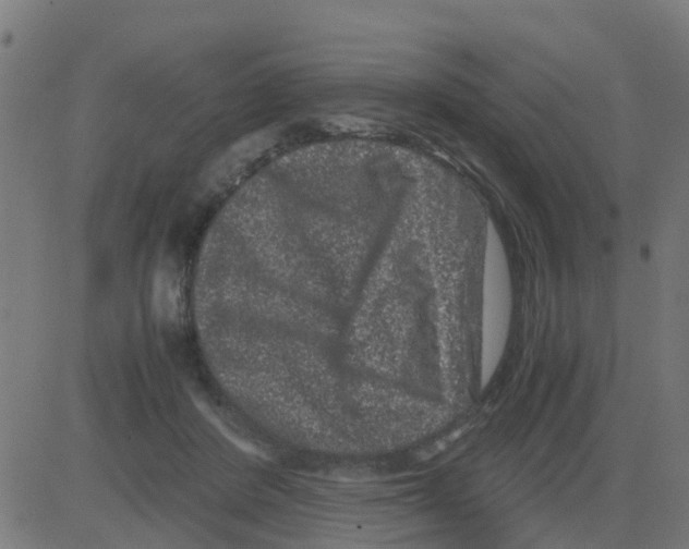 X0000081410408200702092114