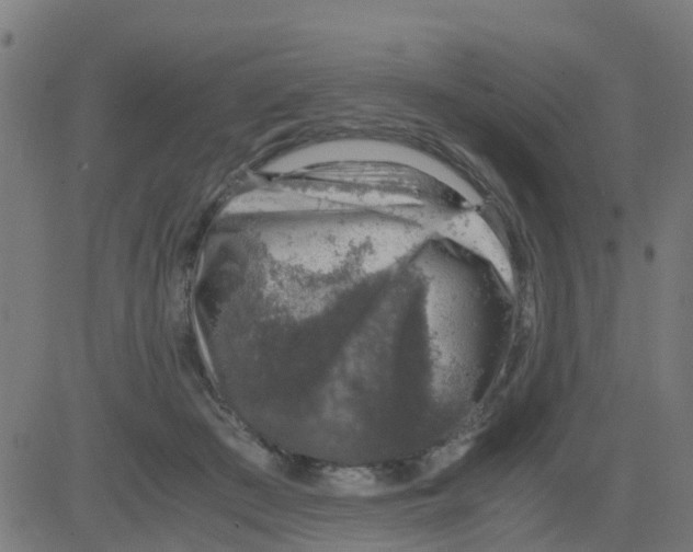 X0000081410409200702092114