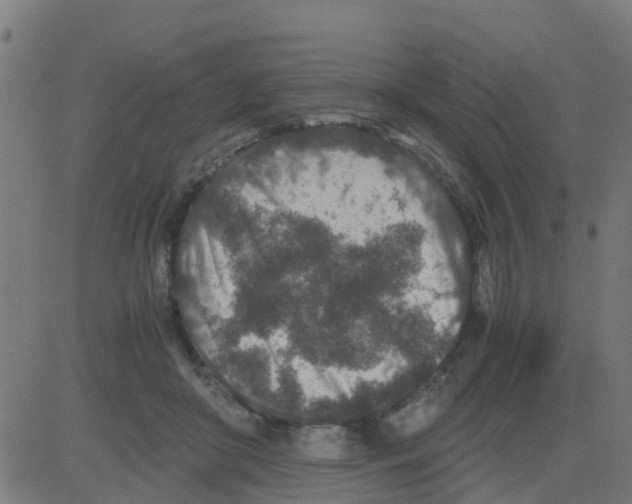 X0000081410410200702092114