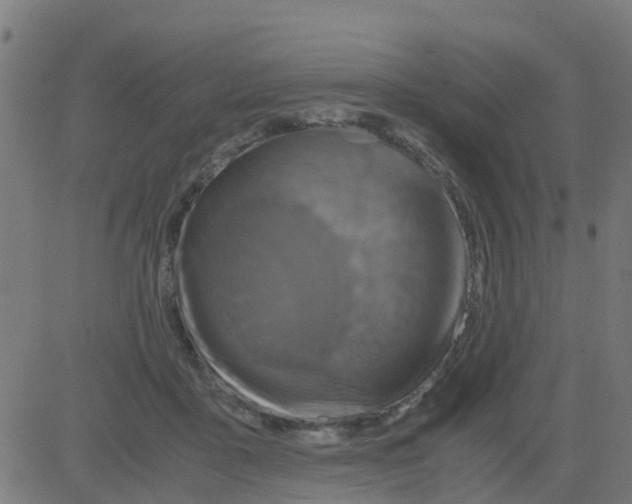 X0000081410411200702092114