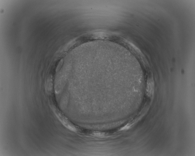 X0000081410413200702092114