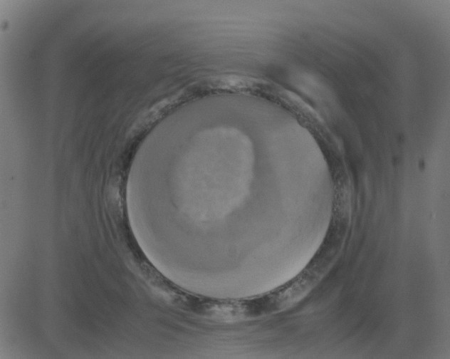 X0000081410415200702092114