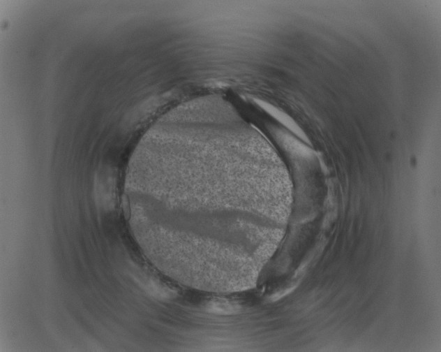 X0000081410416200702092113