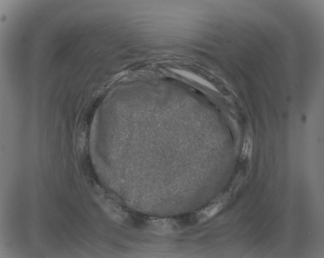 X0000081410417200702092113