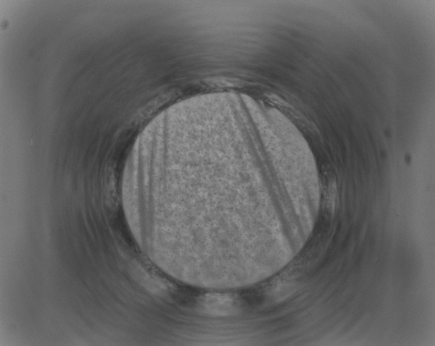 X0000081410418200702092113