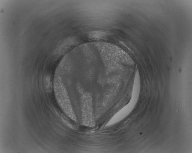 X0000081410420200702092113