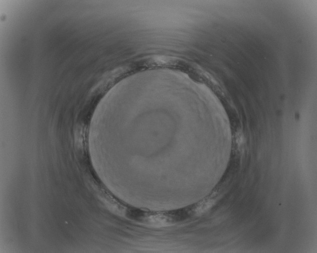 X0000081410423200702092113