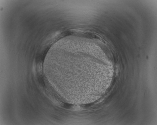 X0000081410425200702092113