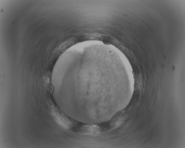 X0000081410427200702092113