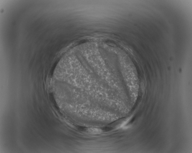 X0000081410429200702092113