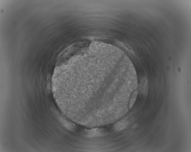 X0000081410430200702092113