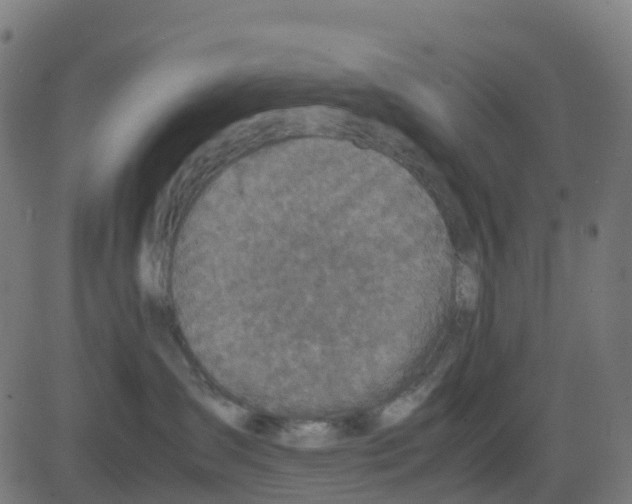 X0000081410431200702092113