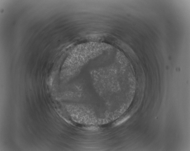 X0000081410432200702092113