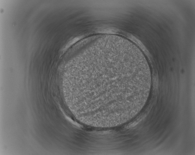 X0000081410433200702092112