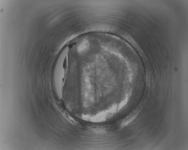 X0000081410434200702092112