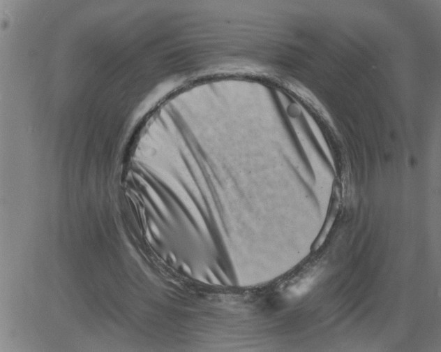 X0000081410436200702092112