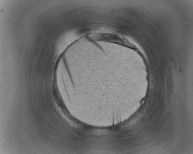 X0000081410437200702092113