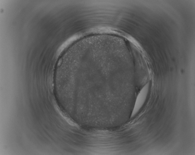 X0000081410438200702092113