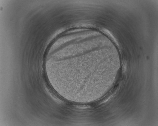 X0000081410439200702092113