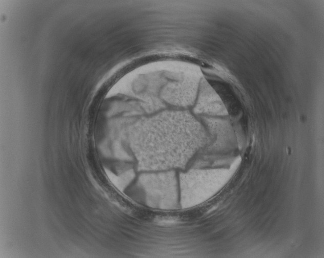 X0000081410440200702092113