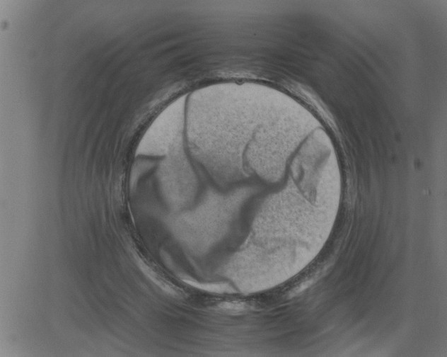 X0000081410441200702092113