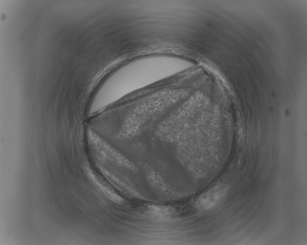 X0000081410442200702092113