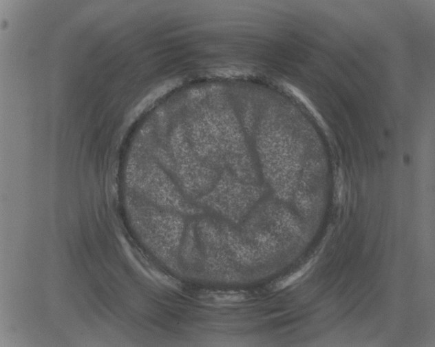 X0000081410443200702092113