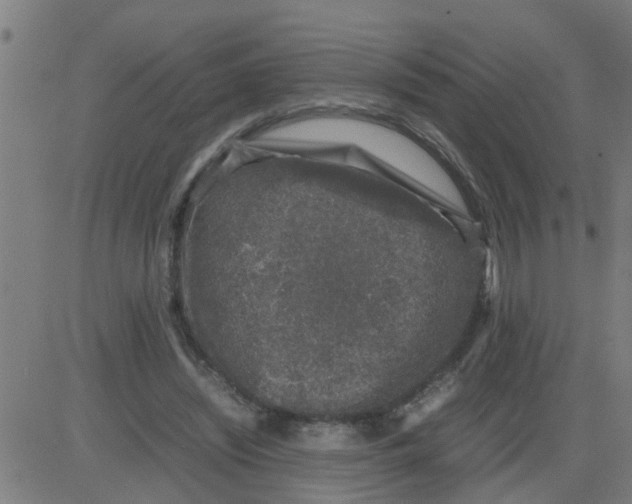 X0000081410444200702092113