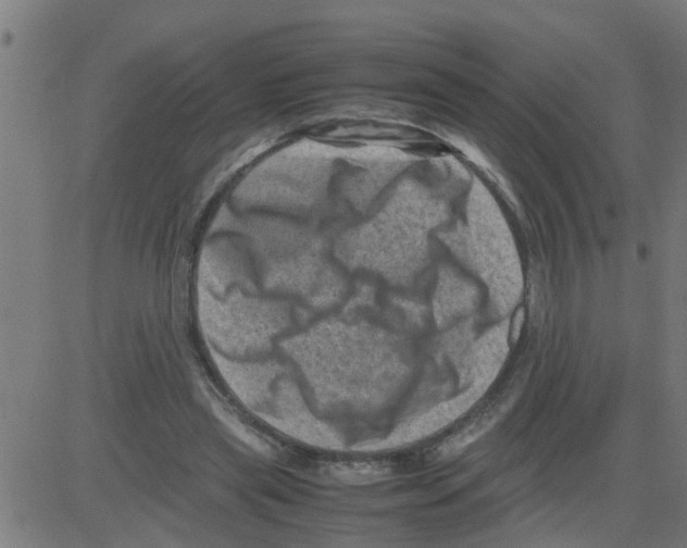 X0000081410445200702092113