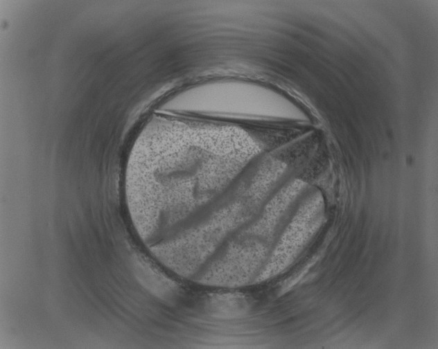 X0000081410446200702092113