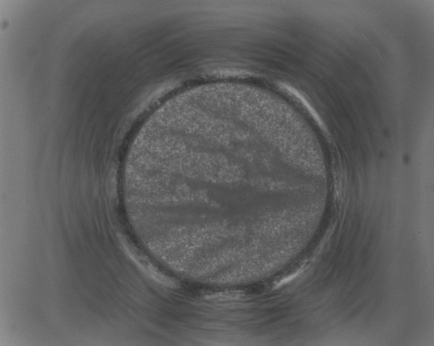 X0000081410447200702092113