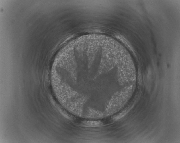 X0000081410449200702092113