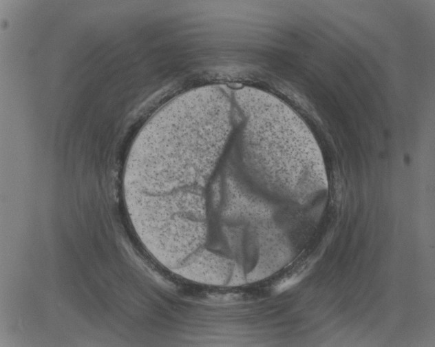 X0000081410450200702092113