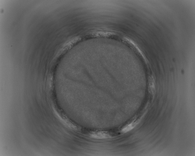 X0000081410451200702092113