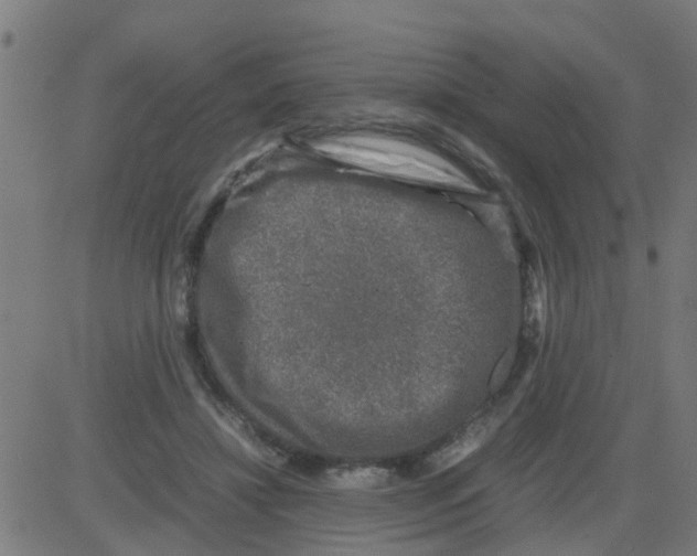 X0000081410452200702092113