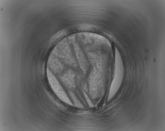 X0000081410454200702092113