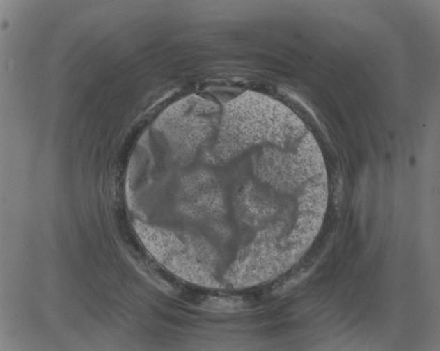 X0000081410455200702092113