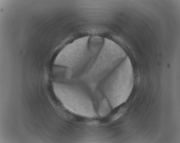 X0000081410456200702092113