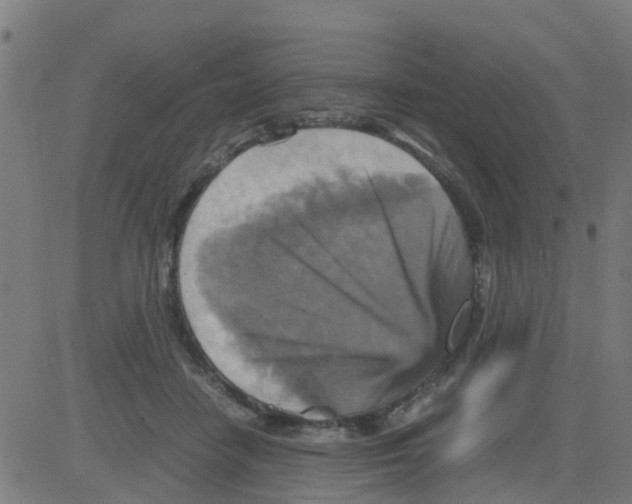 X0000081410458200702092113