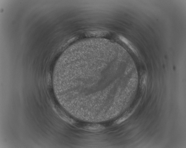 X0000081410459200702092113