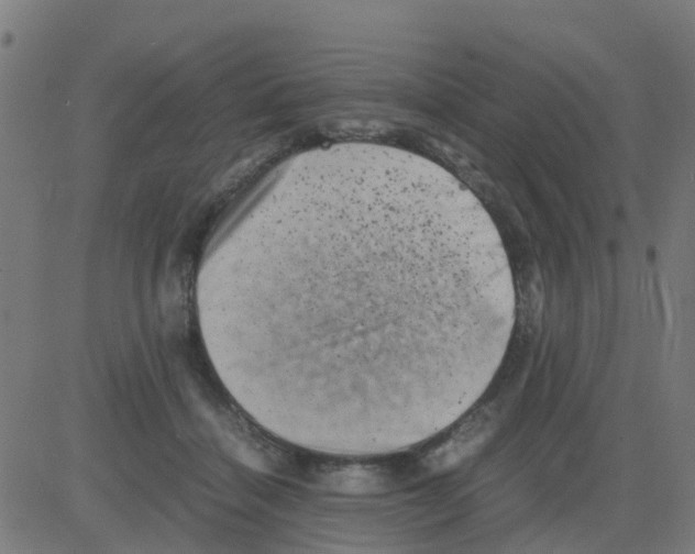 X0000081410460200702092113