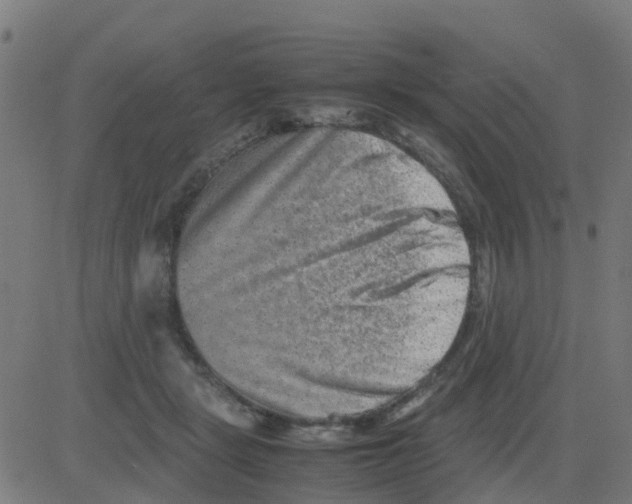 X0000081410461200702092113