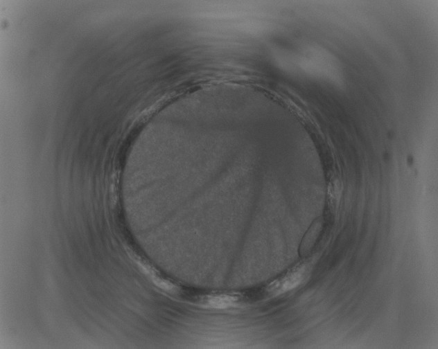 X0000081410462200702092113