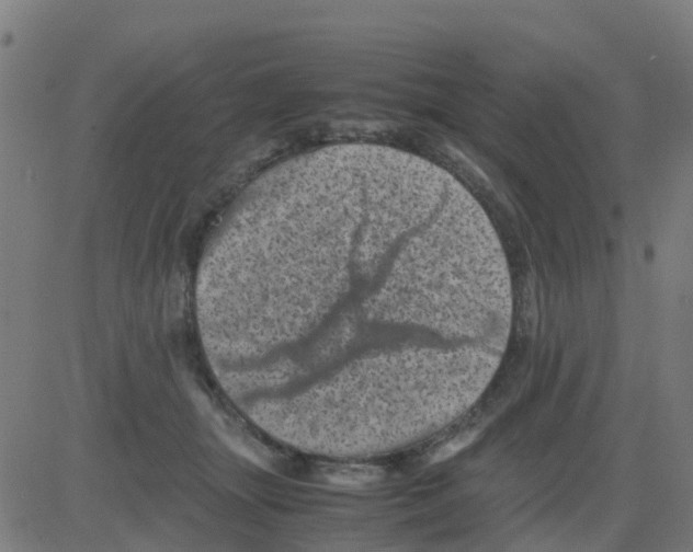 X0000081410463200702092113