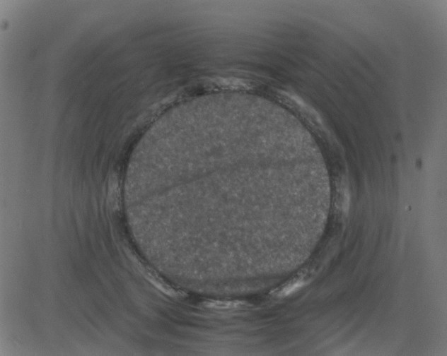 X0000081410465200702092113