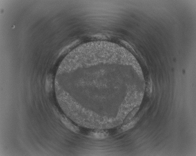 X0000081410466200702092113