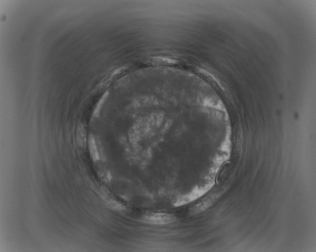 X0000081410467200702092113